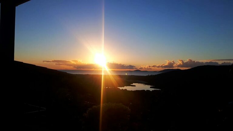 IMG-20231128-WA0139